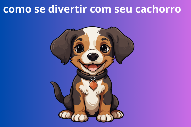 omo se divertir com seu cachorro